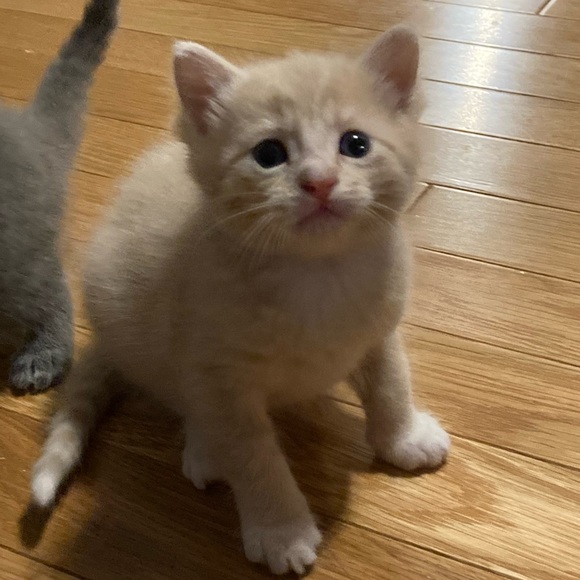 Meet your Posher, Zofia - Picture 1 of 1